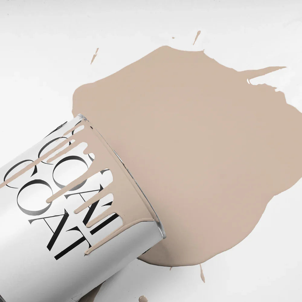 Paint