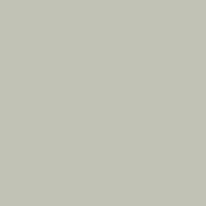 COAT Paint | Yard Party | Hazy Grey Green