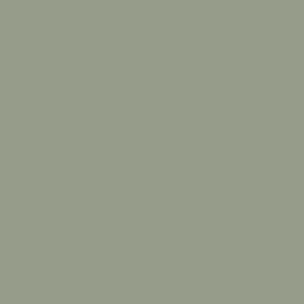 COAT Paint | Park Life | Sage Green