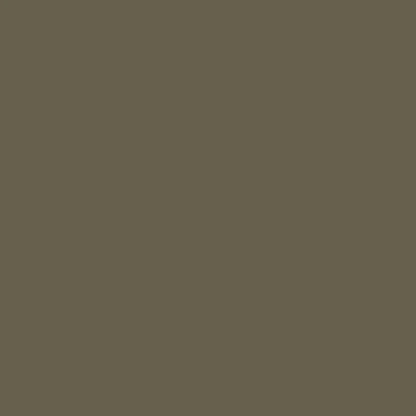 COAT Paint | Rocky | Deep Brown Green