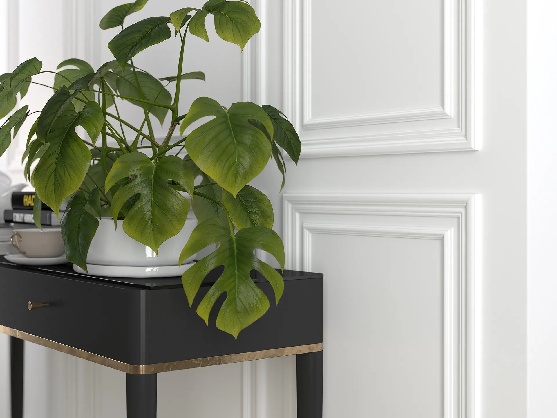 Green potted plant on a black cabinet against white wall panelling