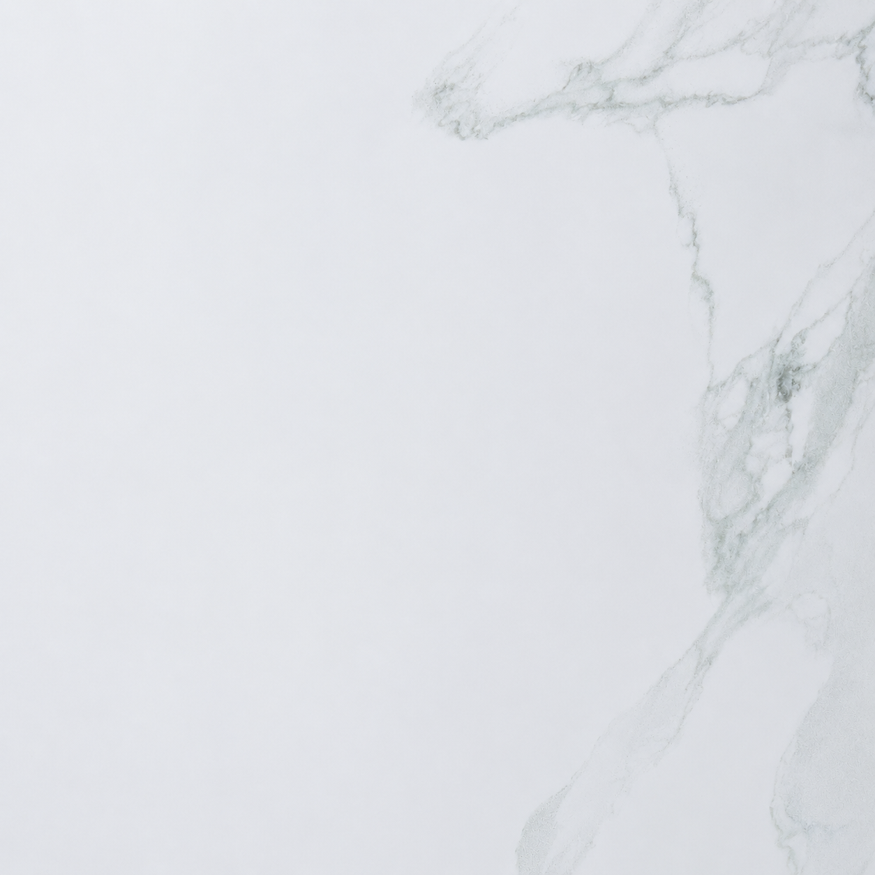 White Marble PVC Shower Panels